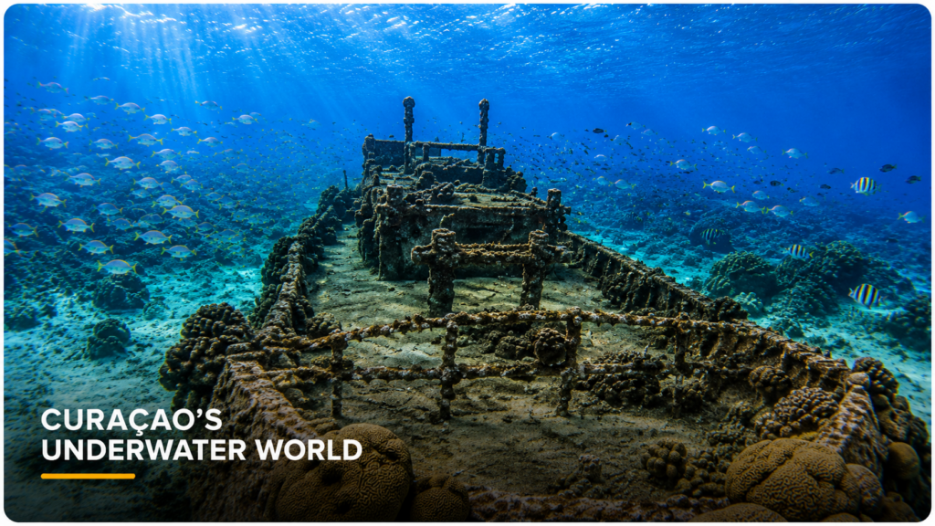curaçao’s vibrant underwater discovery